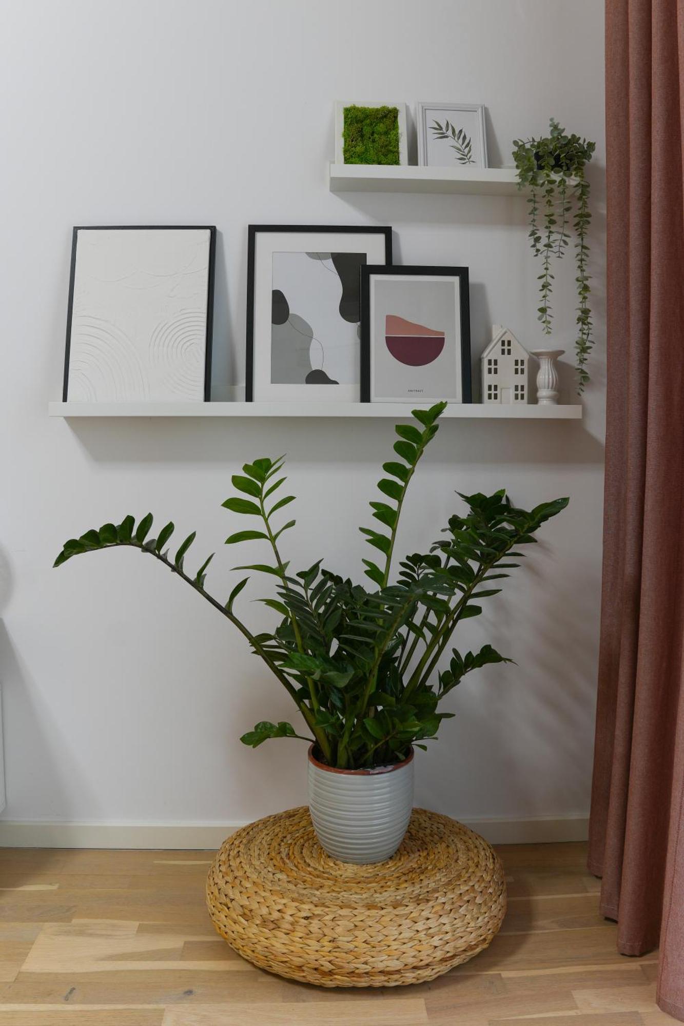 Amalia - Quiet 1Br Apartment With Parking & Wi-Fi Bucareste Exterior foto